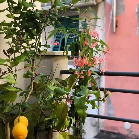 La Polena - Carattino Apartment Vernazza
