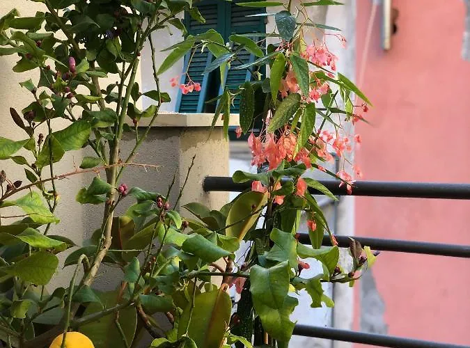 La Polena - Carattino Appartement Vernazza